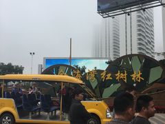 -北海金海湾红树林生态旅游区