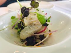 -蝶舍·MAISON PAPILLON