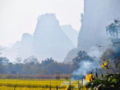 -明仕田园