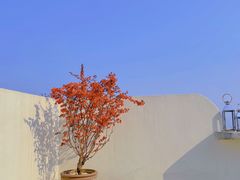 -喜蓝台·HI UP LAND度假餐厅