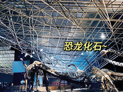-世界恐龙谷景区