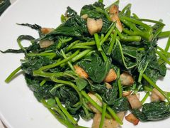 -大鸽饭(岗顶店)