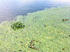 -长春市南湖公园