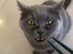-平行世界·猫咖(首经贸店)