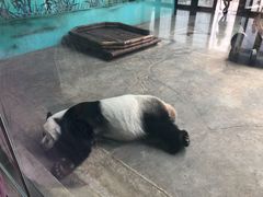 -石家庄市动物园