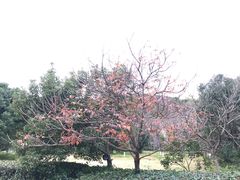 -普陀山风景名胜区-法雨禅寺