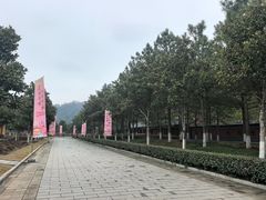 -横店圆明新园
