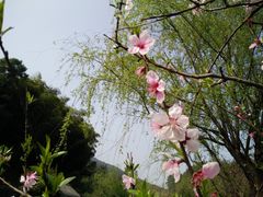 -穹窿山景区