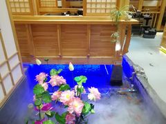 -九田家黑牛烤肉料理(郫都万达檬柏西路店)