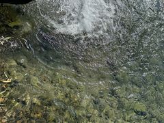 -芦芽山旅游度假区