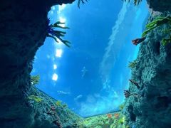 -南昌融创海世界