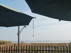 -七的湖·晚芳亭·阳澄湖农家菜·大闸蟹(莲花岛店)