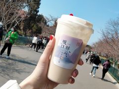 -奈雪的茶(凯德新都心店)