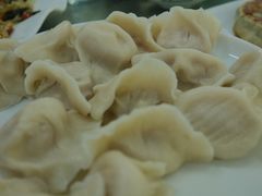 肉三鲜水饺-祝家饺子馆