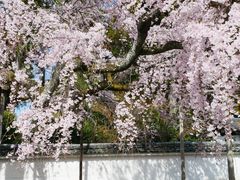 -醍醐寺