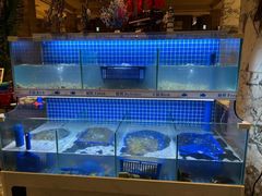 -合肥皇冠假日酒店·菲亚斯特自助餐厅(黄山路店)