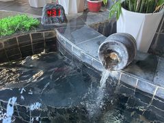 -兴芮温泉度假区