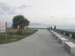 -濑长岛
