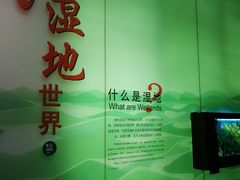 -中国湿地博物馆