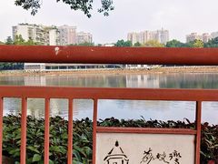 -荔湾湖公园