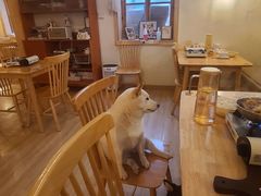 -柴の食堂·日式家庭料理·熊之肆(大学路店)