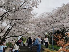-杭州少年儿童公园
