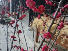 -回龙窝历史文化街区