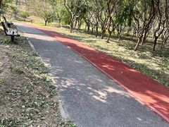 -青龙湖公园