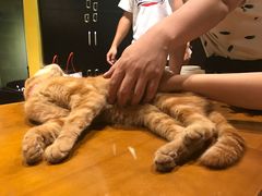 -密讯馆密室逃脱&换装侦探剧(环球港旗舰店)