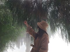 -武陵山森林公园