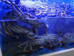 -蟹状元大闸蟹·年货·粽子(成都成华店)