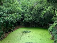 -惠山古镇·寄畅园