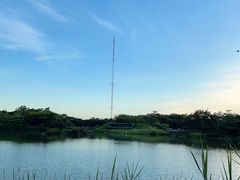 -福田红树林生态公园