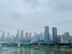 -石灰市毛记烧鸡公(解放碑店)