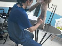 -天宠宠物医院24小时·急重症诊疗中心·全科·腔镜特色(和平分院)