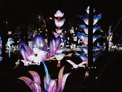 -歌斐颂巧克力小镇