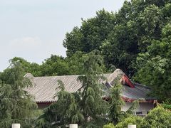 -洛阳市隋唐城遗址植物园