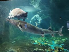 -华夏文旅海洋公园