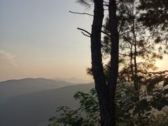 -铁山坪森林公园