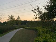 -昆山城市生态森林公园