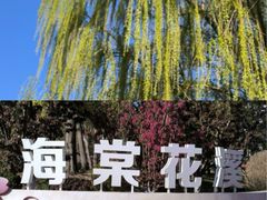 -元大都城垣遗址公园