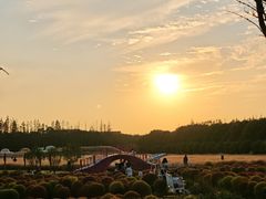 -嘉北郊野公园