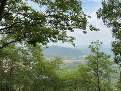 -分塔山省级森林公园