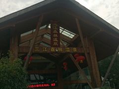 android_upload_pic-三江森林温泉度假区
