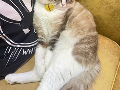 -白兔子密室(长寿路店)