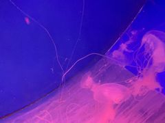 -多彩贵州城极地海洋世界