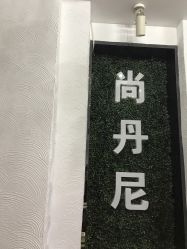 -尚·丹尼Hair