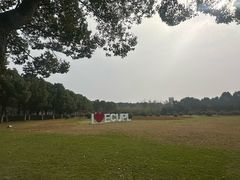 -华东政法大学(松江校区)