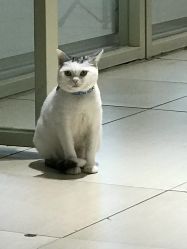 -M Hair造型