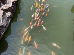 -镇江中国醋文化博物馆